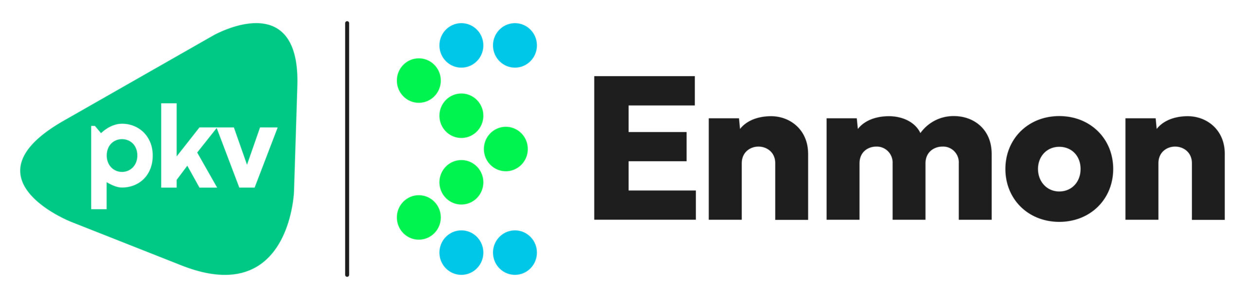Logo partnera